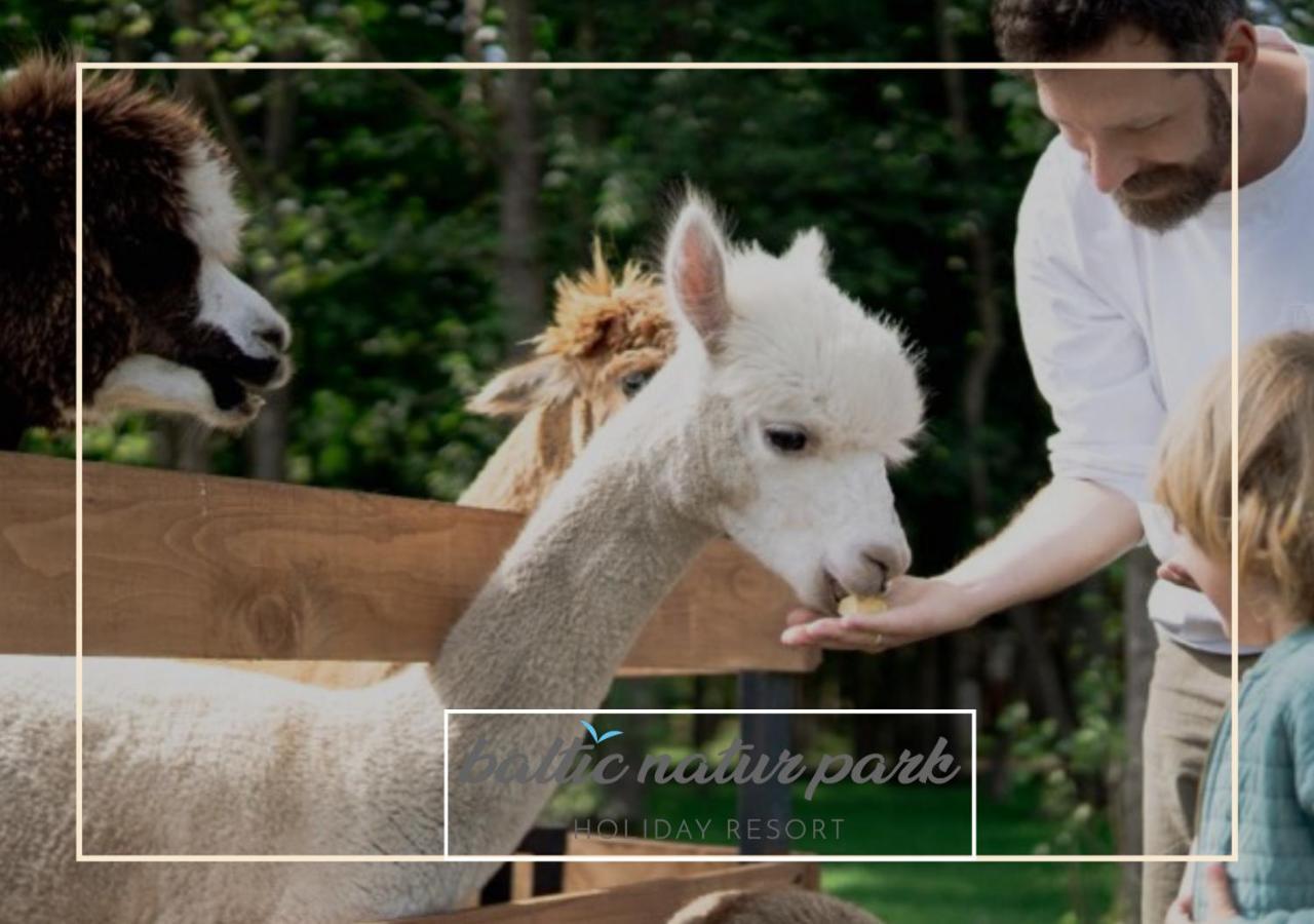 Baltic Natur Park - Holiday Resort 尼彻兹 外观 照片
